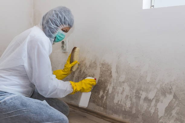 Best Industrial Mold Remediation in Dell Rapids, SD
