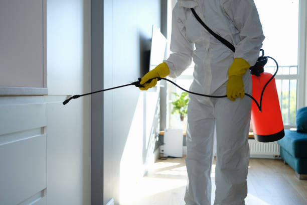 Best Commercial Mold Remediation in Dell Rapids, SD
